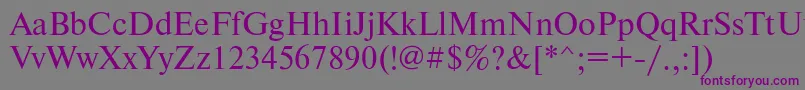 Newtonkoictt-fontti – violetit fontit harmaalla taustalla