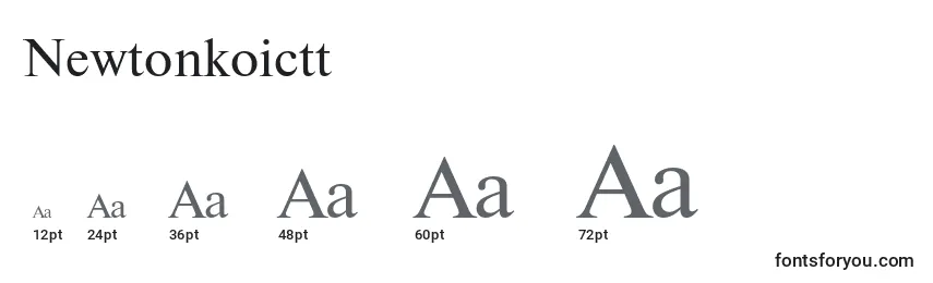 Размеры шрифта Newtonkoictt