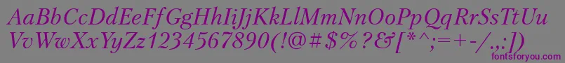 PetersburgttItalic-fontti – violetit fontit harmaalla taustalla
