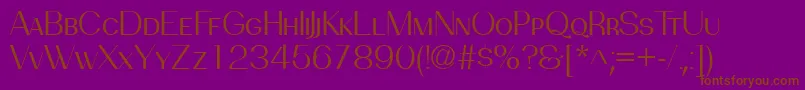 PassionsanspdbeBooksmallca Font – Brown Fonts on Purple Background