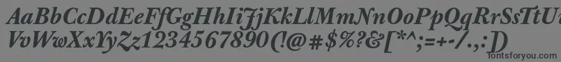 JbaskervilletxnBolditalic Font – Black Fonts on Gray Background