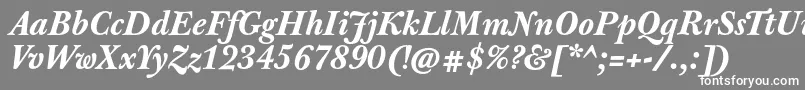 JbaskervilletxnBolditalic Font – White Fonts on Gray Background