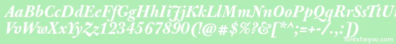 JbaskervilletxnBolditalic Font – White Fonts on Green Background