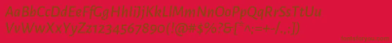 AlegreyasansMediumitalic Font – Brown Fonts on Red Background