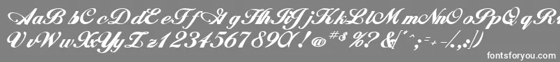 WhimsiScriptSskBold Font – White Fonts on Gray Background