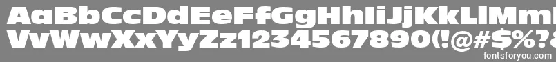 Incised901NordBt Font – White Fonts on Gray Background