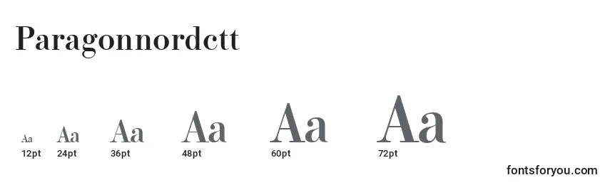 Paragonnordctt Font Sizes