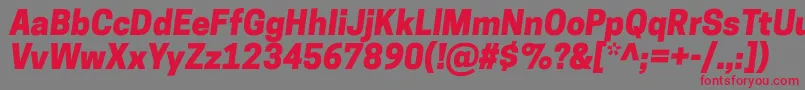 CooperhewittHeavyitalic Font – Red Fonts on Gray Background