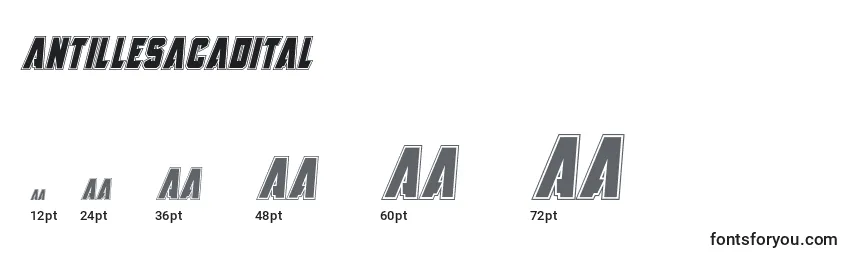 Размеры шрифта Antillesacadital