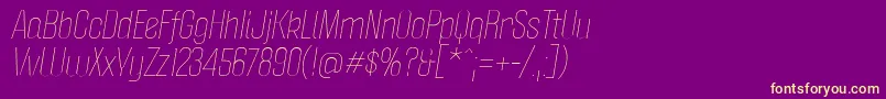 PoliticaLightItalic Font – Yellow Fonts on Purple Background