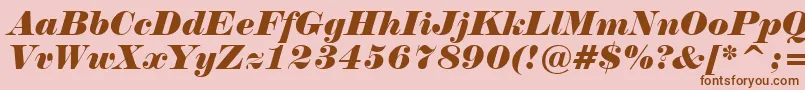 NormandeItalicBt Font – Brown Fonts on Pink Background