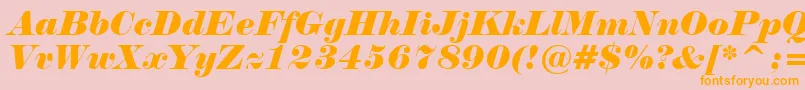 NormandeItalicBt-Schriftart – Orangefarbene Schriften auf rosa Hintergrund