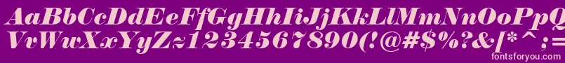 NormandeItalicBt Font – Pink Fonts on Purple Background