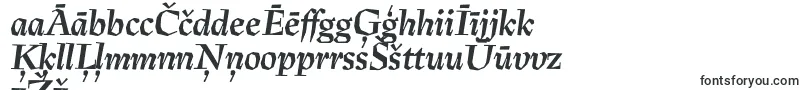 Шрифт PreissigtextBolditalic – латышские шрифты