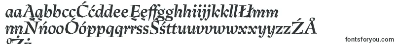 Fonte PreissigtextBolditalic – fontes polonesas