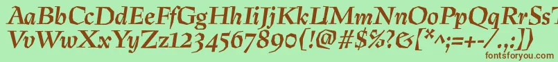 PreissigtextBolditalic Font – Brown Fonts on Green Background