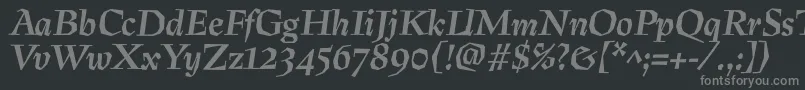 PreissigtextBolditalic Font – Gray Fonts on Black Background