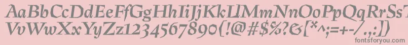 PreissigtextBolditalic Font – Gray Fonts on Pink Background
