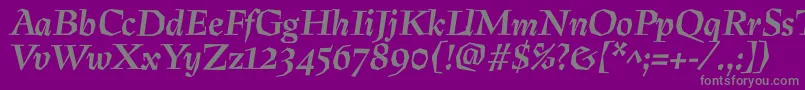 PreissigtextBolditalic Font – Gray Fonts on Purple Background