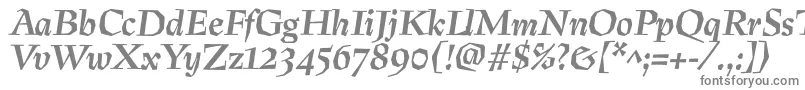 PreissigtextBolditalic-Schriftart – Graue Schriften auf weißem Hintergrund