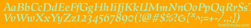 PreissigtextBolditalic Font – Green Fonts on Orange Background