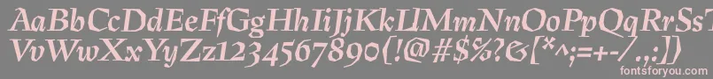 PreissigtextBolditalic Font – Pink Fonts on Gray Background