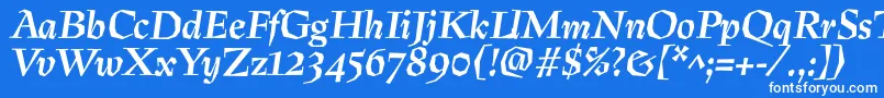 PreissigtextBolditalic Font – White Fonts on Blue Background