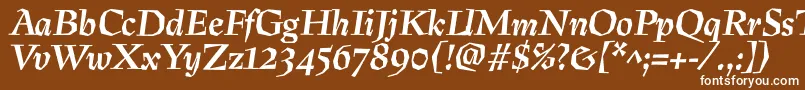 PreissigtextBolditalic Font – White Fonts on Brown Background