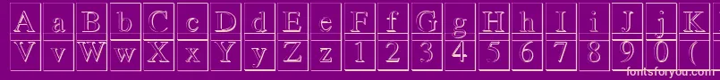 Romand3DDb-Schriftart – Rosa Schriften auf violettem Hintergrund