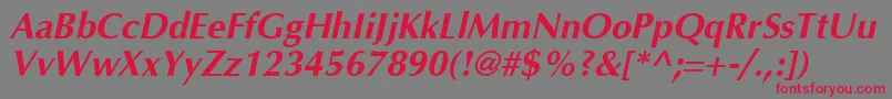 フォントAgopushighresolutionBoldoblique – 赤い文字の灰色の背景