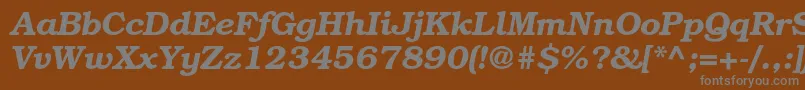 Шрифт BookmanstdDemiitalic – серые шрифты на коричневом фоне