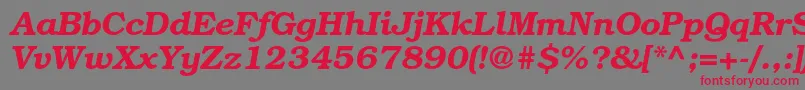 BookmanstdDemiitalic Font – Red Fonts on Gray Background