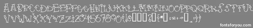 4 Font – White Fonts on Gray Background