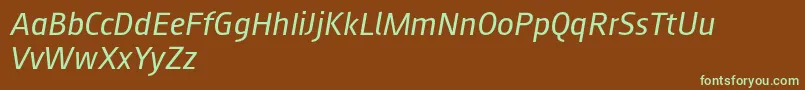 Шрифт Augustsans56regularitalic – зелёные шрифты на коричневом фоне