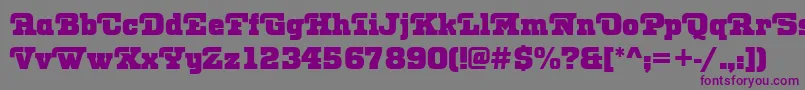 OtisRegular Font – Purple Fonts on Gray Background