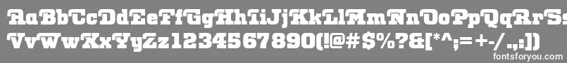 フォントOtisRegular – 灰色の背景に白い文字