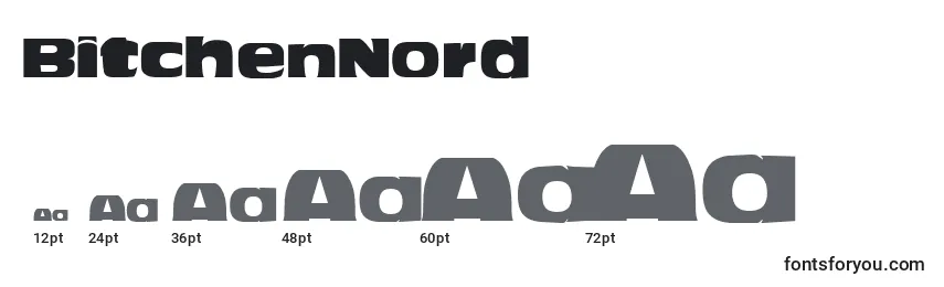 BitchenNord Font Sizes