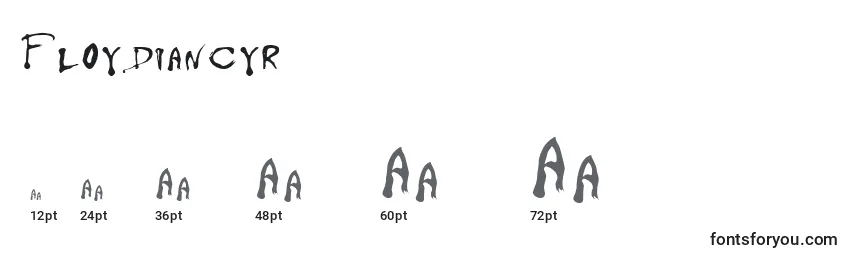 Floydiancyr Font Sizes