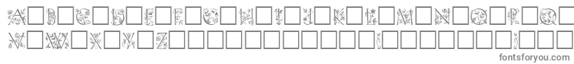 フォントKochInitialen – 白い背景に灰色の文字