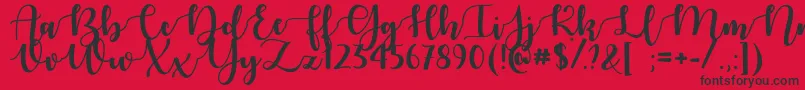 AutumnInNovember Font – Black Fonts on Red Background