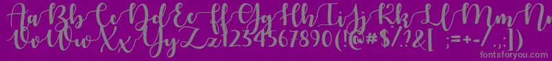 AutumnInNovember Font – Gray Fonts on Purple Background