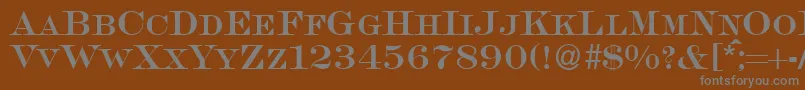 SalingersmcRegularDb Font – Gray Fonts on Brown Background