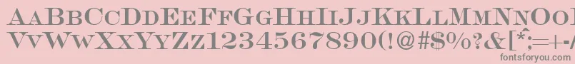 SalingersmcRegularDb Font – Gray Fonts on Pink Background