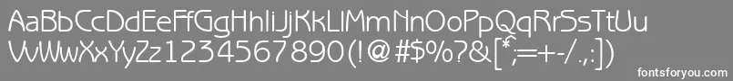 BenjaminsansRegular Font – White Fonts on Gray Background