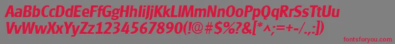 GouditaSansSfBoldItalic Font – Red Fonts on Gray Background