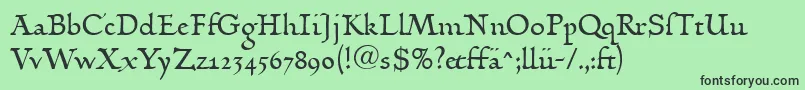LinotypehumanistikaDfr Font – Black Fonts on Green Background