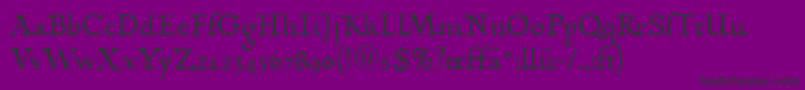 LinotypehumanistikaDfr Font – Black Fonts on Purple Background