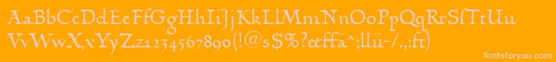 LinotypehumanistikaDfr Font – Pink Fonts on Orange Background