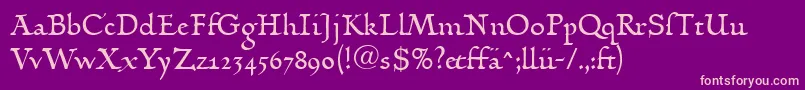 LinotypehumanistikaDfr Font – Pink Fonts on Purple Background