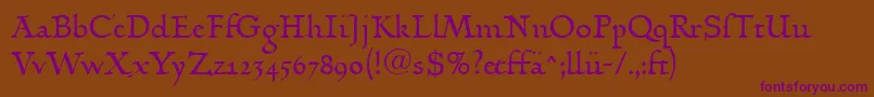 LinotypehumanistikaDfr Font – Purple Fonts on Brown Background